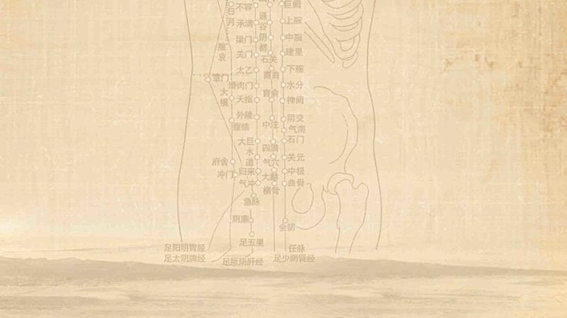 足浴中药配方：如何甄别道地药材，守护健康之道**