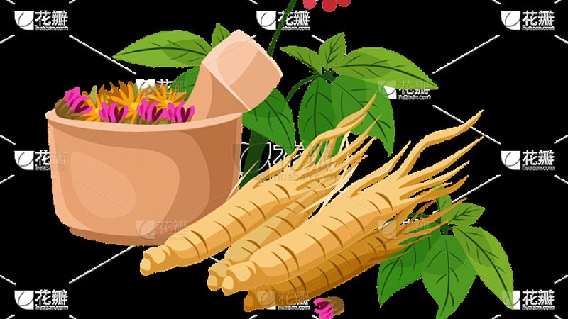全身推拿养生馆：收费标准背后的秘密
