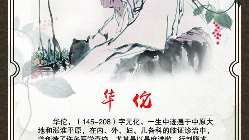养生保健批发，价格背后的秘密与注意事项