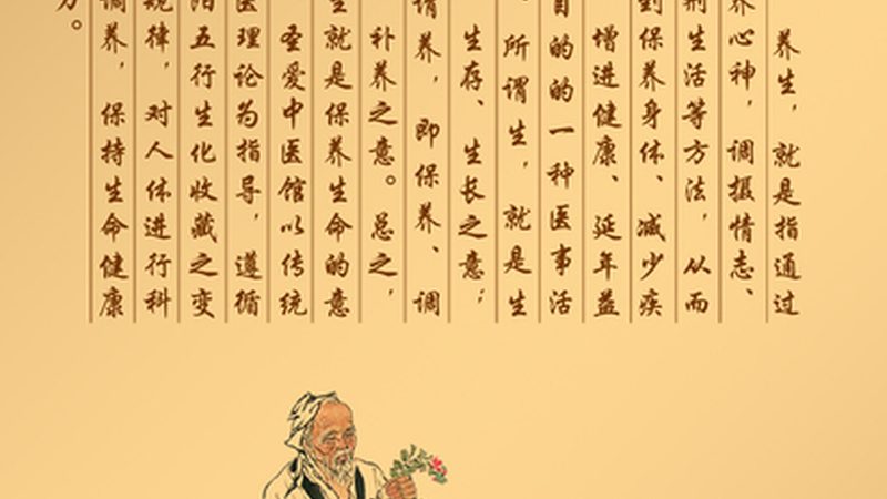养生馆包间最小尺寸：空间布局的科学考量